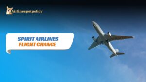 Spirit Airlines Flight Change