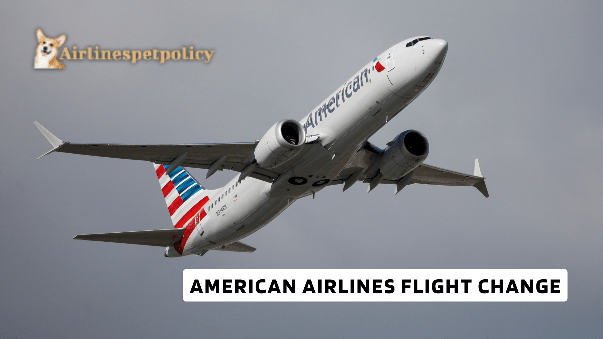 American Airlines Flight Change Toll Free No. +18449024930