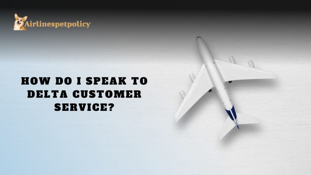 How do I speak to Delta customer service?