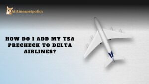How do I add my TSA PreCheck to Delta Airlines?