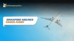 Singapore Airlines Cancellation Policy