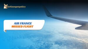 Air France Missed Flight