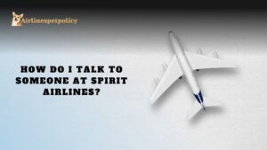 How do I talk to someone at Spirit Airlines?