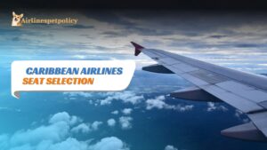Caribbean Airlines Seat Selection
