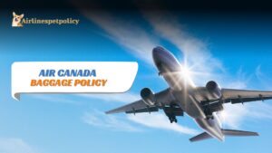 Air Canada Baggage Policy