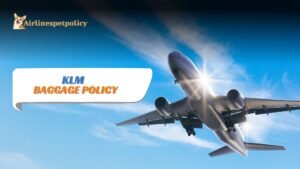 KLM Baggage Policy