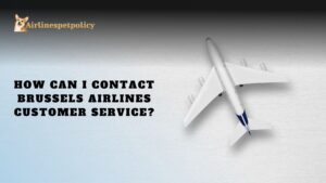How Can I Contact Brussels Airlines Cuatomer Service