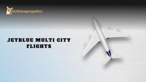 JetBlue Multi City Flights