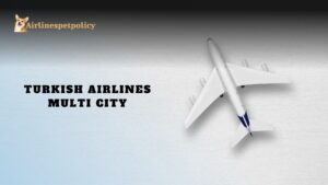 Turkish Airlines Multi City