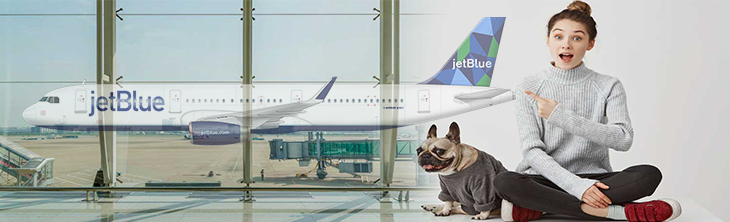 JetBlue pet policy 2023- dog policy, in-cabin, pet booking & reservations
